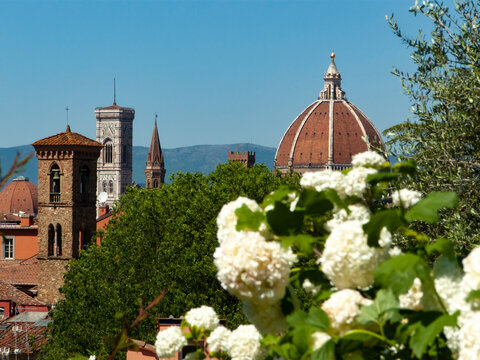 Italia, Toscana, Firenze, il Giardino delle Rose.