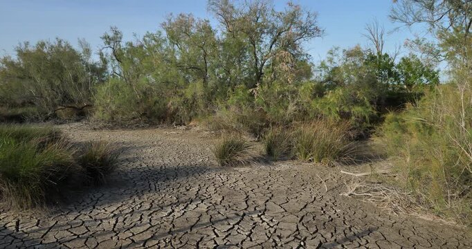 Dryness in the Camargue, France