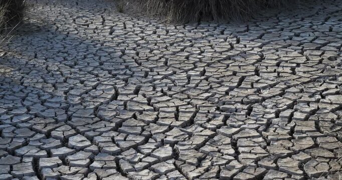 Dryness in the Camargue, France
