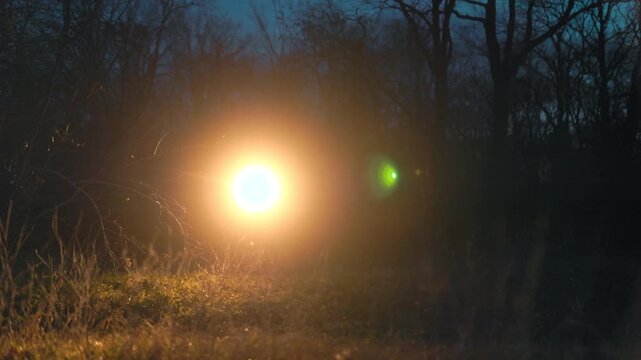 Wide Shot Flashlight Beam Moving In Dark Forest At Night lifestyle