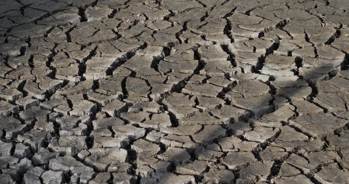 Dryness in the Camargue, France