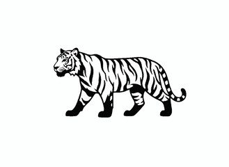 Obraz premium Monochrome Tiger in Stride: A majestic tiger, rendered in striking monochrome, strides confidently across the frame, showcasing its powerful form and distinctive striped pattern.