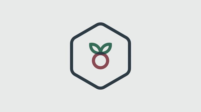 Clean hexagon border with geometric berry and leaf icon &ndash; Ideal for health food packaging, nature-themed apps, or berry brand design.