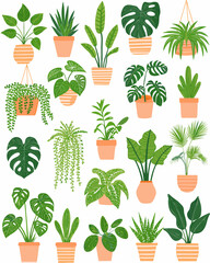 Potted plant collection various green leaves in terracotta pots white background © Smritykona