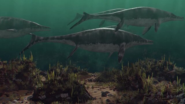 4k 3d animation of pod of Ichthyosaurs swimming together in a deep, emerald prehistoric ocean, perfect for YouTube channels, documentaries, and educational videos.