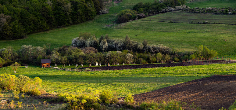 bright green landscape in early summer