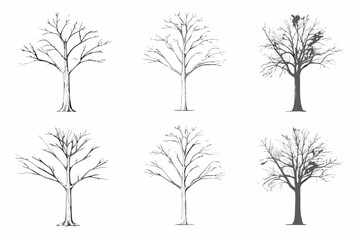 Obraz premium Bare tree silhouettes six variations on a white background