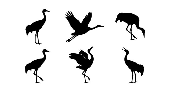 Crane silhouettes, bird icons, black cranes, flying birds, wildlife graphics