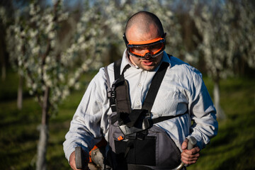 Fototapeta premium Gardener cutting grass in a blossoming orchard