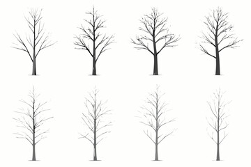 Obraz premium Bare tree silhouettes eight variations on white background
