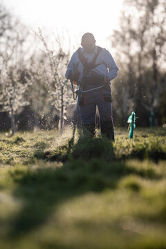 Man mowing grass with brushcutter in orchard