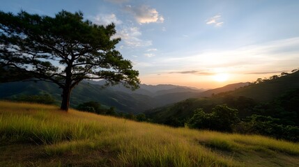 Obraz premium Golden hour sunlight illuminates a sweeping landscape featuring rolling hills tall grass and a solitary tree against a vast sky
