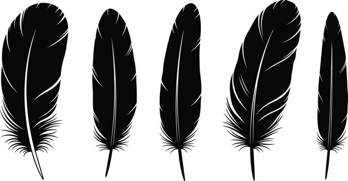 Feather silhouette collection vector set with black bird plumage icons in elegant natural shapes