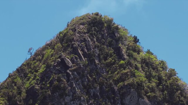 Dramatic piton volcanic peak covered in lush green tropical vegetation rises majestically against clear blue sky in Saint Lucia. Rocky cliff face with dense foliage creates stunning natural landmark.