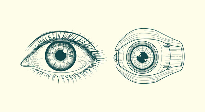 Realistic Human Eye and Futuristic Mechanical Bionic Eye Engraving Style Comparison Illustration