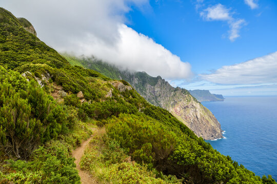 Hiking path on misty green Atlantic cliffs