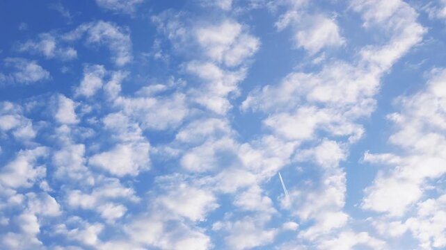 White clouds on a summer blue sky for background or wallpaper design. Majestic cumulus clouds float across the endless sky, their graceful forms painting a mesmerizing canvas of beauty and grandeur. 