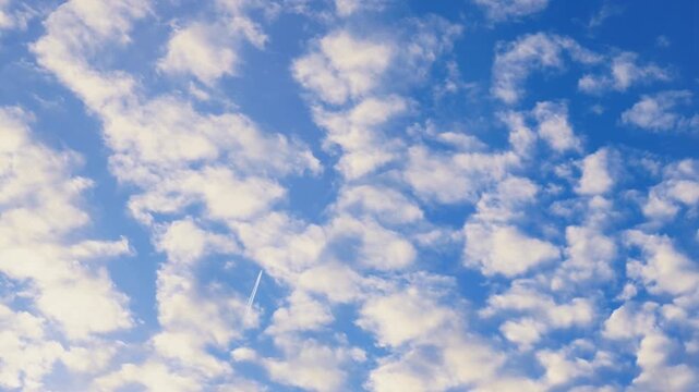 White clouds on a summer blue sky for background or wallpaper design. Majestic cumulus clouds float across the endless sky, their graceful forms painting a mesmerizing canvas of beauty and grandeur. 