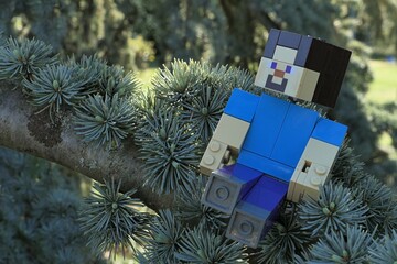 Fototapeta premium Minecraft action figure of main character Steve sitting on a spring branch of coniferous tree Atlas Cedar, latin name Cedrus Atlantica, hidden in shadow of other branches. 