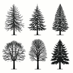 Fototapeta premium Six tree silhouettes various types black line art on white background