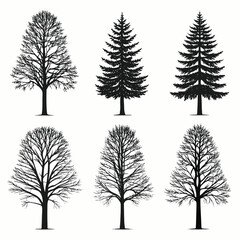 Fototapeta premium Variety of tree silhouettes black line art on white background