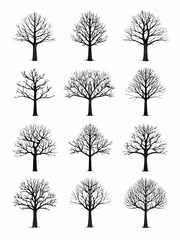 Fototapeta premium Bare tree silhouettes collection on a white background