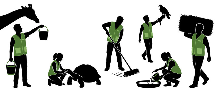 Silhouettes of people in green vests caring for various animals and performing zoo maintenance