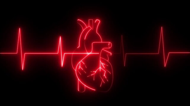 Glowing neon heart cardiogram line. Electrocardiogram show heart beat line Heart health, cardiology, cardiovascular disease concept. animation