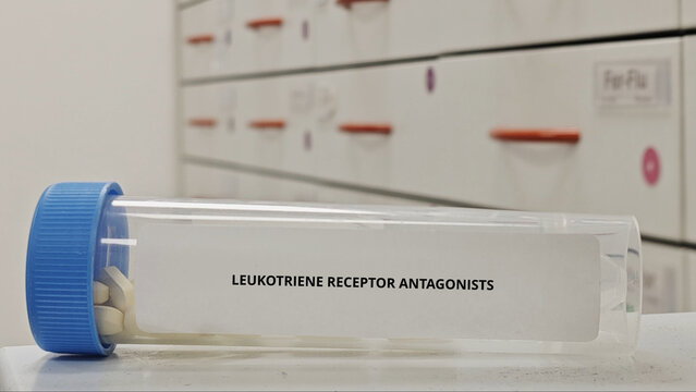 LEUKOTRIENE RECEPTOR ANTAGONISTS tablets used to treat asthma and allergic conditions