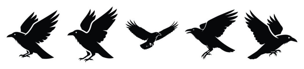Obraz premium Big set of raven simple silhouettes black icon and character. Halloween Vector icons illustration on white background.