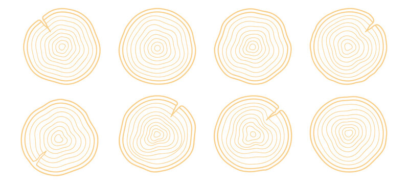 Set of tree rings cross section wood texture isolated on white background flat vector design.