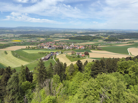 Traditional Swiss Village Nestled Among Dense Forest and Rolling Hills in a Scenic Countryside View