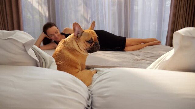 Adorable dog sits on bed, glancing back over her shoulder toward camera with longing eyes, while her owner lies behind her, fully absorbed in smartphone or book.