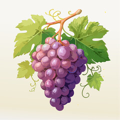 Fototapeta premium A vibrant cluster of purple grapes hangs from a lush green vine with leaves.