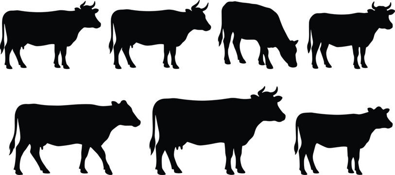 set of six black cow silhouettes standing in row flat design vector illustration