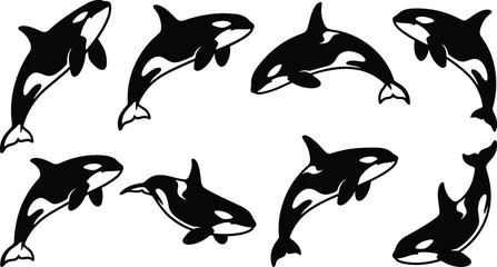 seven orcas swimming in different directions vector illustration © jannat Stock