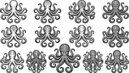 Collection of various octopus illustrations in black and white with intricate designs and patterns on white background © jannat Stock