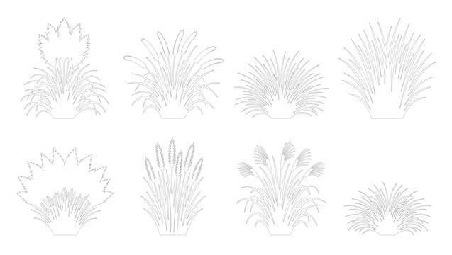 Minimalist Thin Line Art Bush and Reed Set with Editable Stroke, Simple Monochrome Grass Outline Vector Illustration, Botanical Contour Drawing for Modern Landscape Design