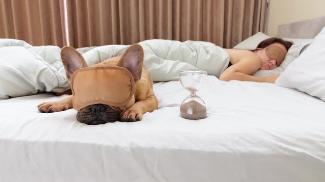 Dog wearing sleep mask rests on large bed beside hourglass, while owner woman, also wearing eye mask, lies in background. As last grain of sand falls, dog suddenly jerks as if waking up