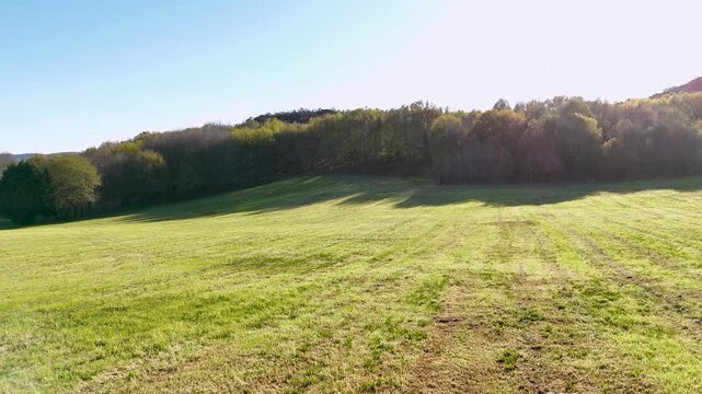 Drone flying forward over green meadow and forest