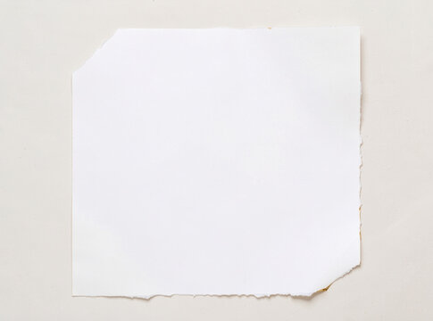 A fragment of white paper with rough edges, likely ripped or torn