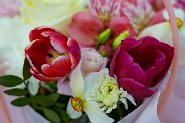 Obraz premium Bright flowers in a basket during a spring gathering in a garden