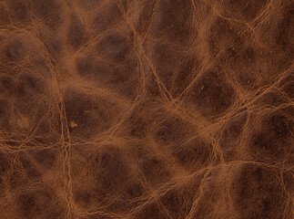 Obraz premium A detailed view of the texture and grain of a brown leather surface