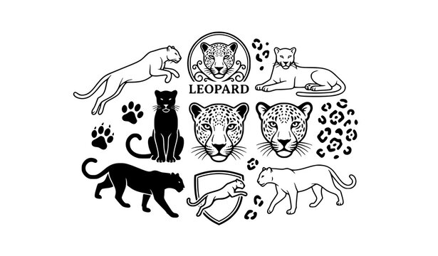 Stylized leopard outline and silhouette symbols vector collection elegant wildlife icon set
