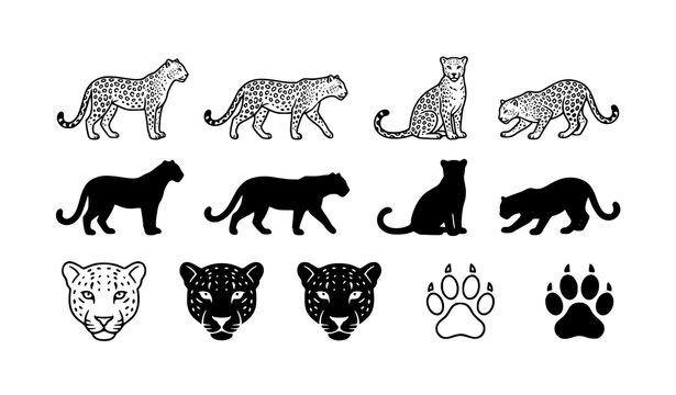 Leopard outline and silhouette icon set vector wild animal line art and solid symbols collection