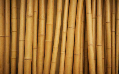 Naklejka premium Bamboo Background