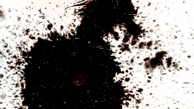 Ink Splatter Explosion Video Overlay - Particle Burst Blast Footage High Impact Splat Effect for Short Video Beat Transition Game Hit VFX Music MV Drop Visual UI Click Feedback and Action Title Reveal