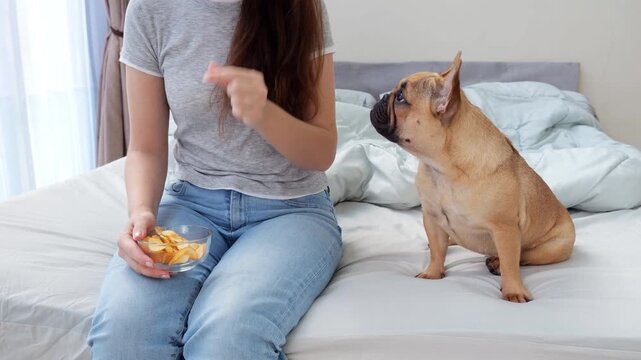 Woman sitting on bed eating potato chips from glass bowl, taking one by one, while her cute dog quietly begs beside her, tracking each chip with hopeful eyes and head movements.