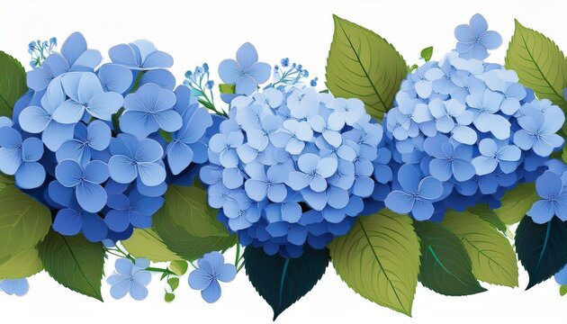 horizontal border with blue hydrangea flowers on white background
