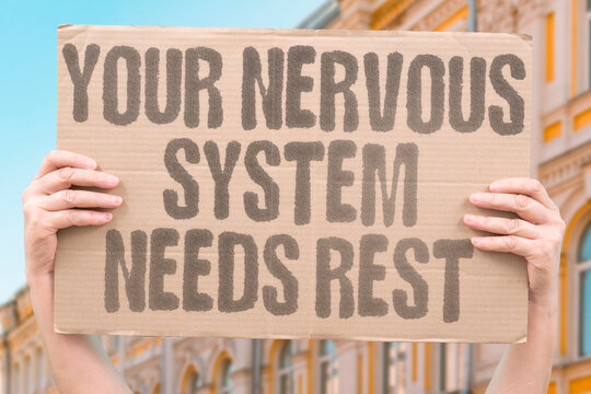 "Your Nervous System Needs Rest" Chronically activated stress responses permanently impair autonomic nervous system regulation capacity. NERVOUS. SYSTEM. CHRONIC. IMPAIR. REGULATE.